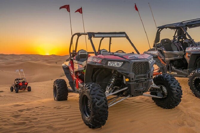 1-Hour Desert Buggy Self-Drive Adventure: Camel Ride & Sandboard - Who will enjoy this desert adventure most?