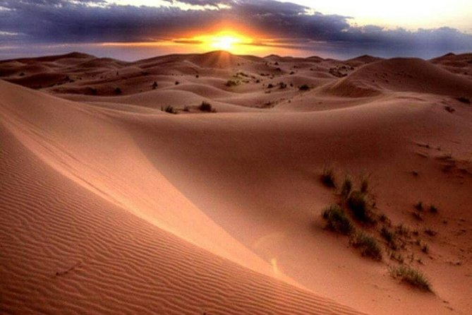 1-Hour Dune Buggy Self-Drive, Camel Ride & Sandboarding Adventure - A short camel ride with a slower rhythm