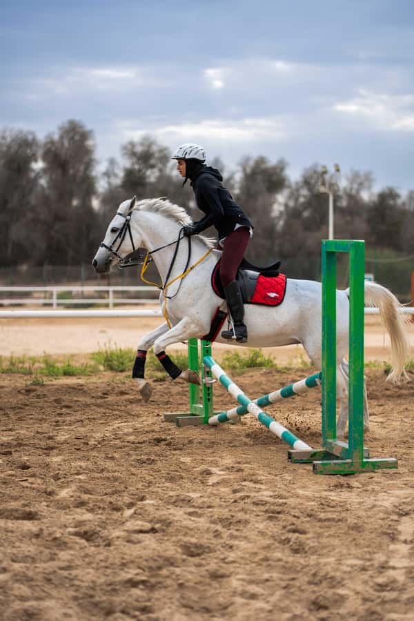 1 Hour Horseback Dubai Desert Park Ride - What the One-Hour Ride Feels Like