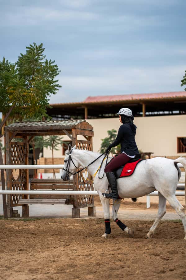 1 Hour Horseback Dubai Desert Park Ride - Meeting the Horse Before the Trail