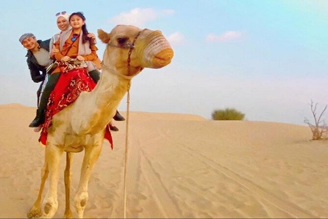 2-Day Abu Dhabi and Dubai City Tour with Desert Safari - Abu Dhabi and the Sheikh Zayed Grand Mosque