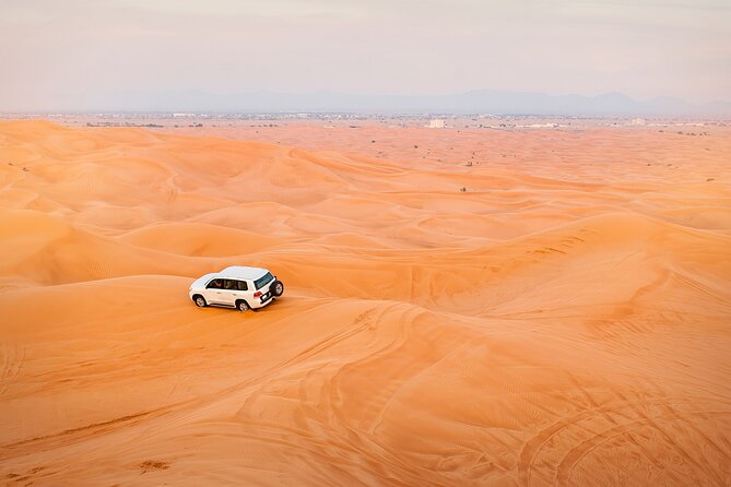 2 seater Dune Buggy Safari in Sharjah - What this Sharjah desert safari is really like