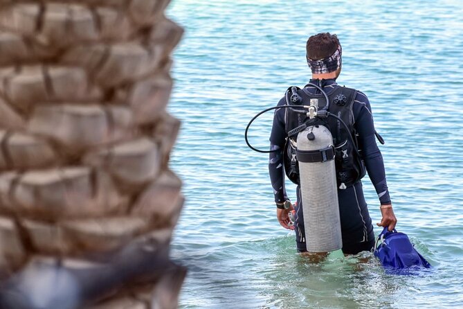 3-Day PADI Open Water Diving Course in Dubai - Who should book this course?