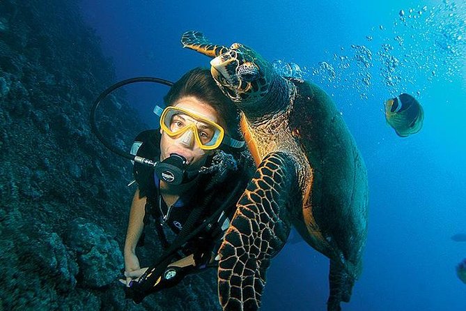 3-Day PADI Open Water Diving Course in Dubai - Equipment fitting at Palm Jumeirah