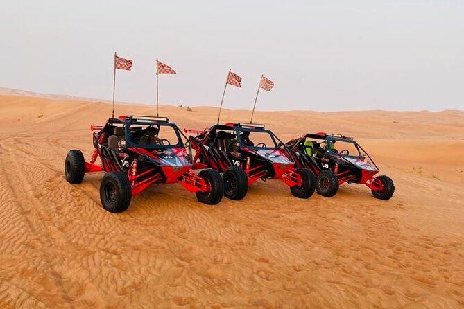 3000cc Dune Buggy & Sandboarding - Private Experience - Who will enjoy this Dubai buggy tour most