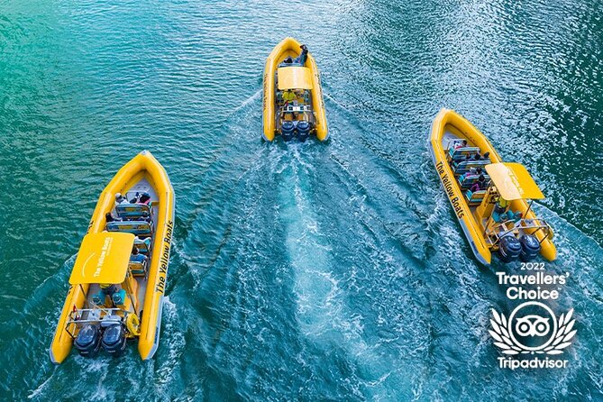 45-Minute Thrilling Speedboat Tour to Atlantis Hotel - The return run and the best part of the timing