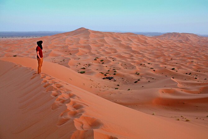 4x4 Arabian Adventure Desert Safari with BBQ Dinner - Sand skiing, camel rides, and quad-bike choices