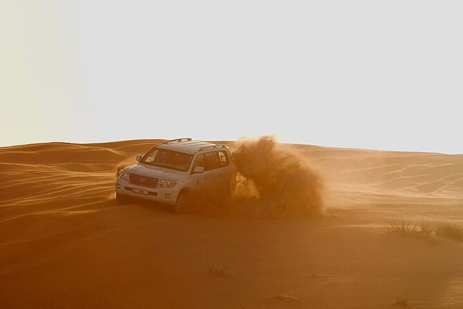 4x4 Desert Safari Abu Dhabi with BBQ Dinner - Key points to know before booking