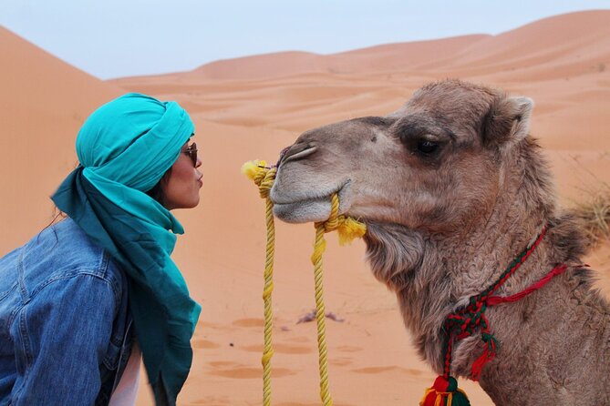 4x4 Desert Safari Abu Dhabi with BBQ Dinner - A short camel-farm stop before the main action