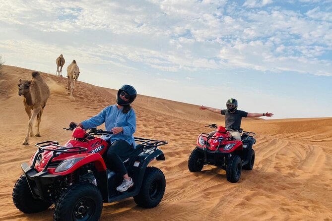 4X4 Dubai Desert Safari with BBQ dinner, Camels & Live Show - Belly dance, tanoura, and falconry
