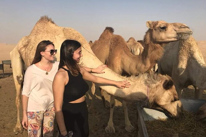 4X4 Private Abu Dhabi City Tour with Abu Dhabi Evening Desert Safari From Dubai - Dinner, shows, and stargazing after dark