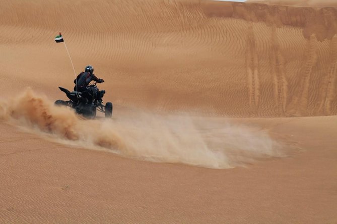 4x4 Self-Drive Quad Bike Safari with Camel Riding - Camel riding: an important detail to verify