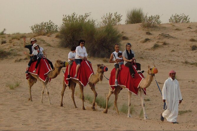 4x4 Self-Drive Quad Bike Safari with Camel Riding - Who will enjoy it most