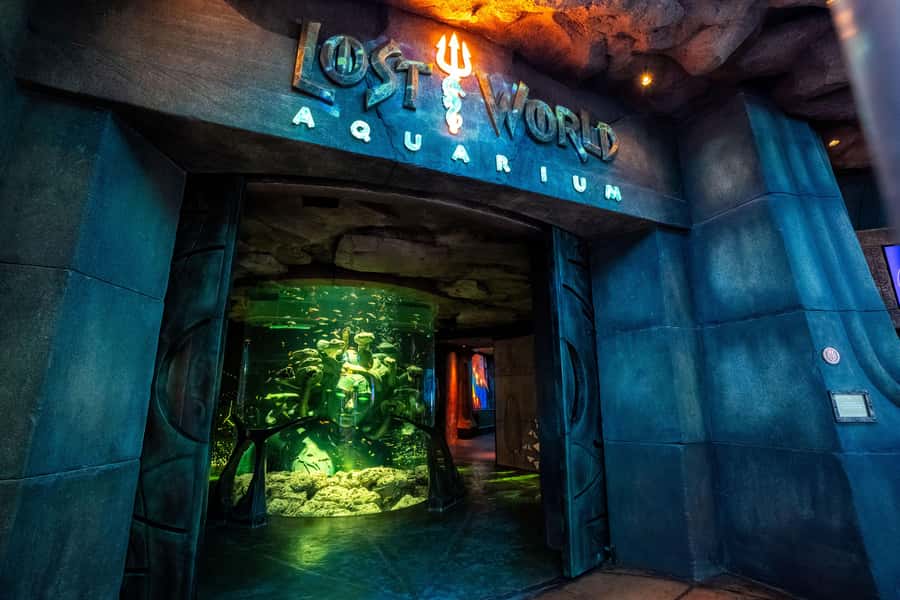 5-Day Pass: Hop-On Hop-Off, Lost World Aquarium, Dubai Frame - Blue Route: Jumeirah, Palm Jumeirah, and Marina