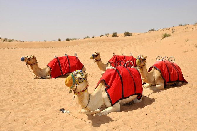 57 Heritage Desert Safari - Why this Dubai safari feels different