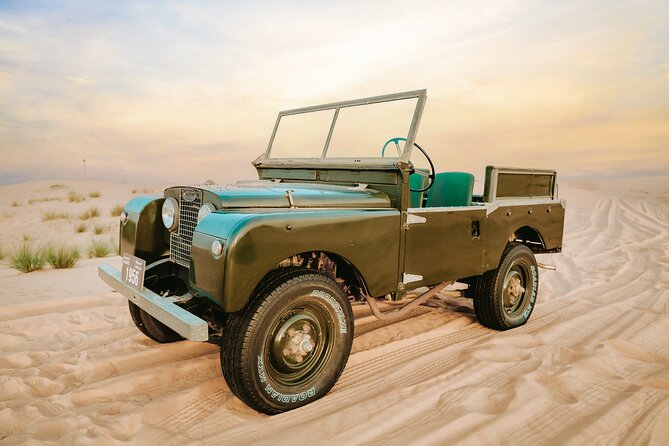 57 Heritage Desert Safari - Meeting Arabian wildlife in the conservation reserve