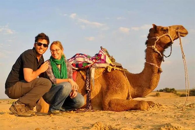 6-Hour Dubai Desert Dinner Safari with Dune Bashing & Camel Ride - Dune bashing across the Dubai desert