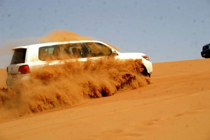 6 Hour Thrilling Desert Safari in 4x4 with Entertainment Show - The camel photo stop, with a queue to expect