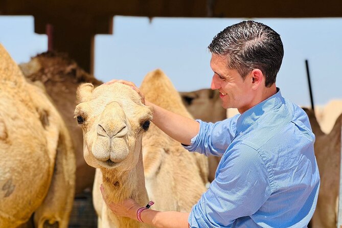 8 Hours Al Ain City Tour without lunch - Why Al Ain makes a good day trip from Abu Dhabi
