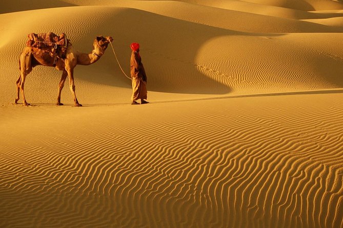 Abu Dhabi 4x4 Desert Safari BBQ Dinner , Camel Ride , Belly Dance - Key points at a glance