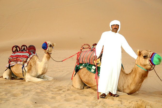 Abu Dhabi Afternoon Desert Safari and BBQ Dinner - The 4WD Dune Ride and High-Dune Sunset Stop