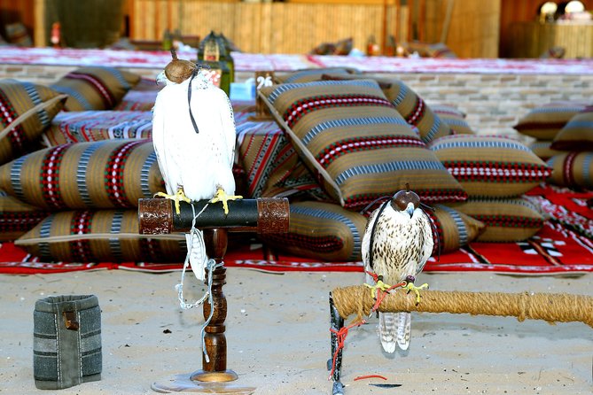 Abu Dhabi Afternoon Desert Safari and BBQ Dinner - Arriving at the Bedouin-Style Camp
