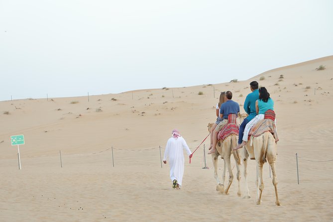 Abu Dhabi City Tour and Desert Safari - Is $125.18 a fair price?