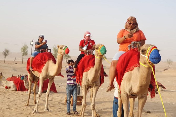 Abu Dhabi city tour & desert safari from Dubai - Sunset, BBQ, and camp entertainment