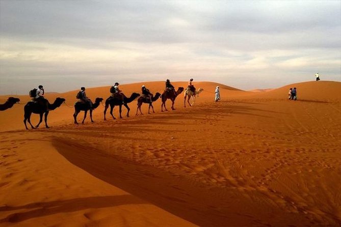 Abu Dhabi City Tour with Desert Safari Adventure - Six hours of desert activity after the city tour
