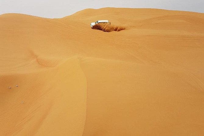 Abu Dhabi Desert Safari 4x4, BBQ Dinner, Camel Ride - BBQ dinner with fruit, dessert, and drinks