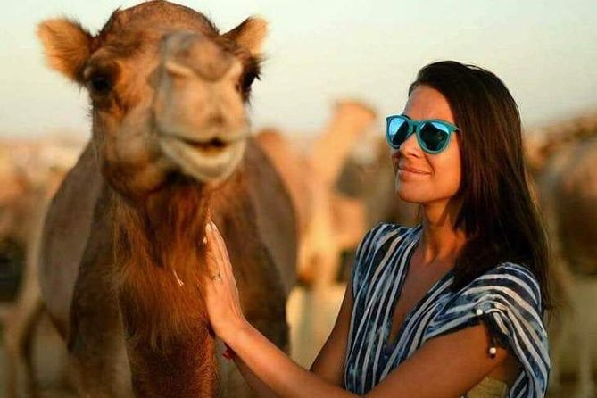 Abu Dhabi Desert Safari 4x4, BBQ Dinner, Camel Ride - Ten minutes of stargazing