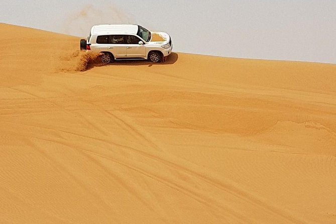 Abu Dhabi Desert Safari 4x4, BBQ Dinner, Camel Ride - Is $80.83 a fair price?