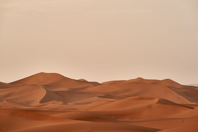 Abu Dhabi Desert Safari Tour with Shows & Buffet Dinner - Adventure Gate Camp and the short camel ride