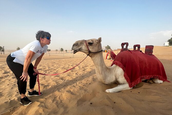 Abu Dhabi Desert Safari Tour with Shows & Buffet Dinner - The sunset photo stop in the deep desert