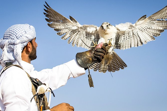 Abu Dhabi: Desert Safari with BBQ, Camel Ride & Sandboarding - How the value compares with the effort