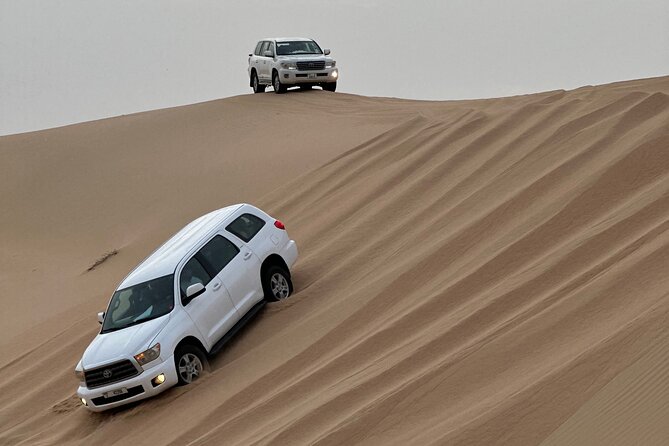 Abu Dhabi Desert Safari With BBQ Dinner & Live Shows - Sandboarding adds a gentler desert activity