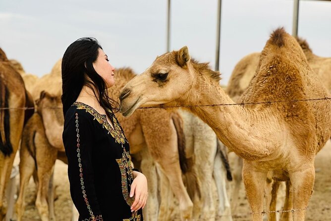 Abu Dhabi Desert Safari With BBQ Dinner & Live Shows - BBQ dinner and live shows