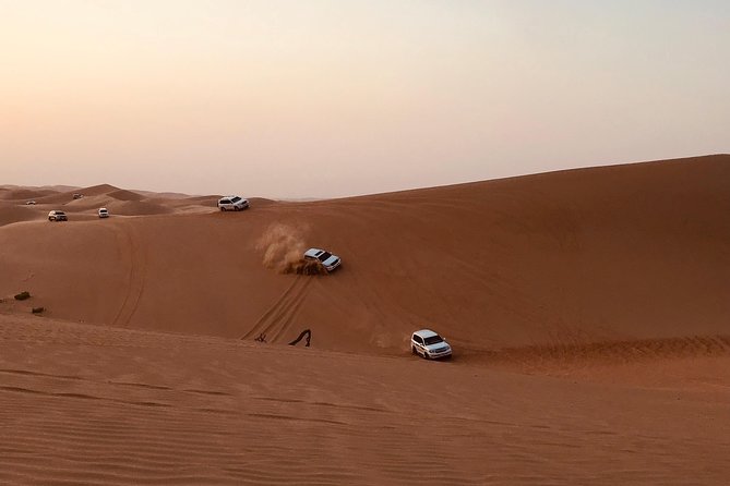 Abu Dhabi Desert safari with BBQ Dinner,Sandboarding & Camel ride - From Abu Dhabi streets to open desert