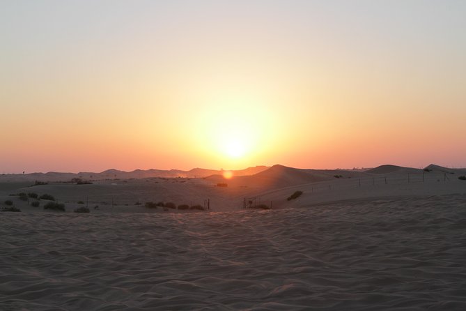Abu Dhabi Desert Safari with BBQ Dinner & Shows - Sandboarding and the first look at desert life