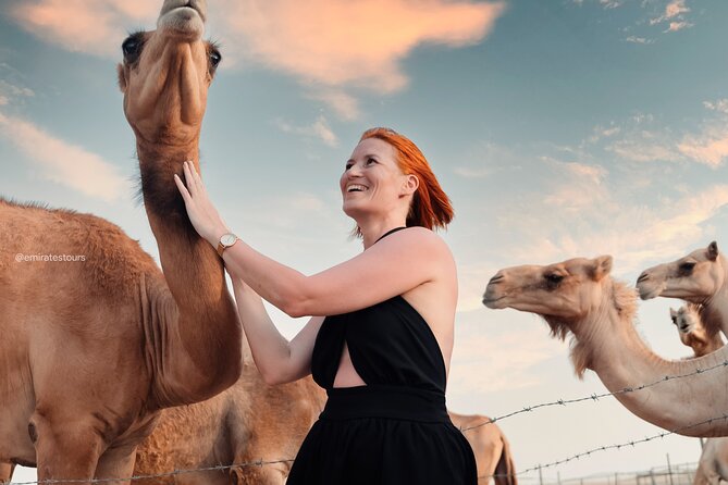Abu Dhabi Evening Desert Safari BBQ, Camel Ride, Entertainments - BBQ dinner with enough choice for most appetites