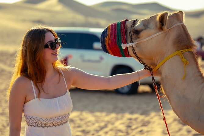 Abu Dhabi Evening Desert Safari - Private car Dune bashing & BBQ - Who will enjoy this Abu Dhabi safari most?