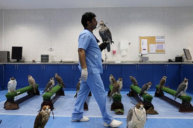 Abu Dhabi Falcon Hospital Tour - What the two-hour format feels like