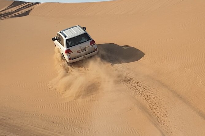 Abu Dhabi Full-Day Desert Safari - One afternoon, many Abu Dhabi desert activities