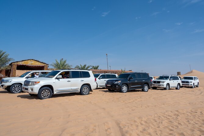 Abu Dhabi Full-Day Desert Safari - Camel farm and camel ride