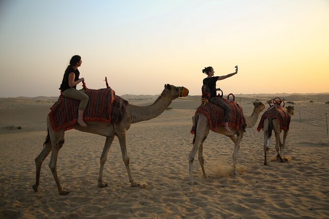 Abu Dhabi Half Day Desert Safari - Barbecue dinner and two live shows