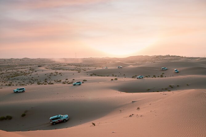 Abu Dhabi Morning Desert Safari: 4x4 Dune Bashing, Camel Ride and Sandboarding - Key points at a glance