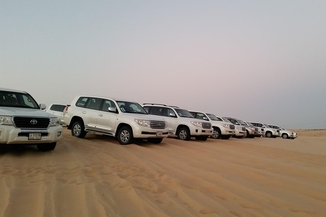 Abu Dhabi Morning Desert Safari - Who should book this morning safari