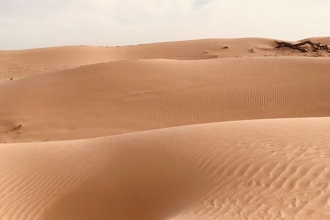 Abu Dhabi Morning Desert Safari,Dune Bashing,Sandboarding,Camel Riding&Quad Bike - Is $120 good value?
