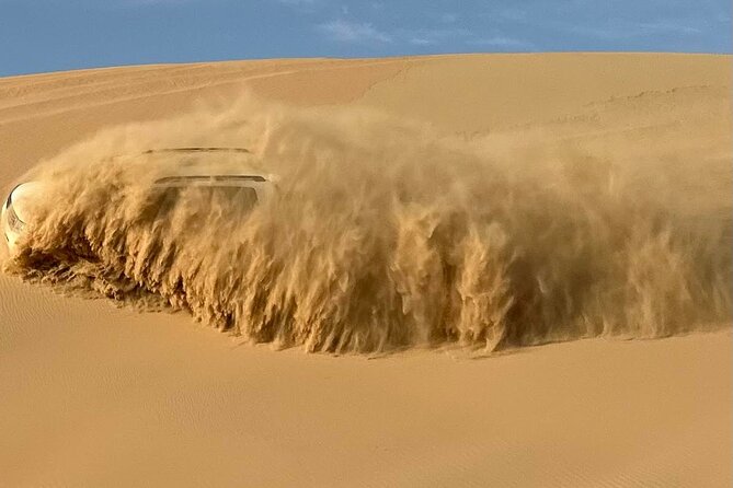 Abu Dhabi Morning Desert Safari with Camel Ride - Key points to know before booking
