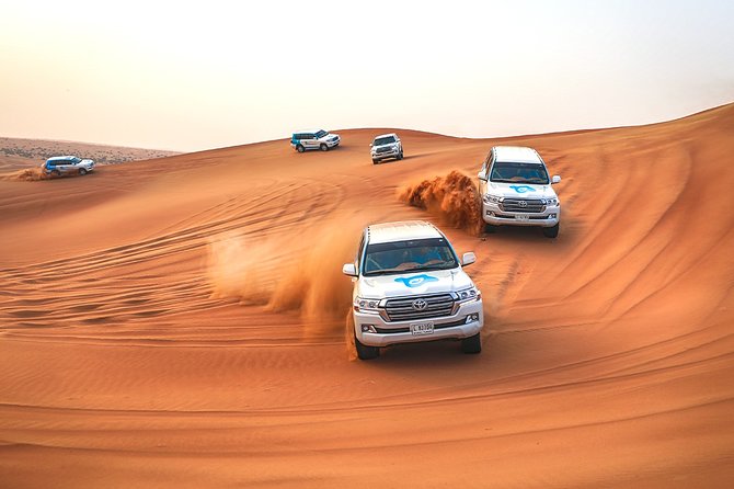 Abu Dhabi: Morning Desert Safari with Camels and Sandboarding - Should you book this Abu Dhabi desert safari?